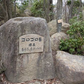ゴロゴロ岳にも足をのばし