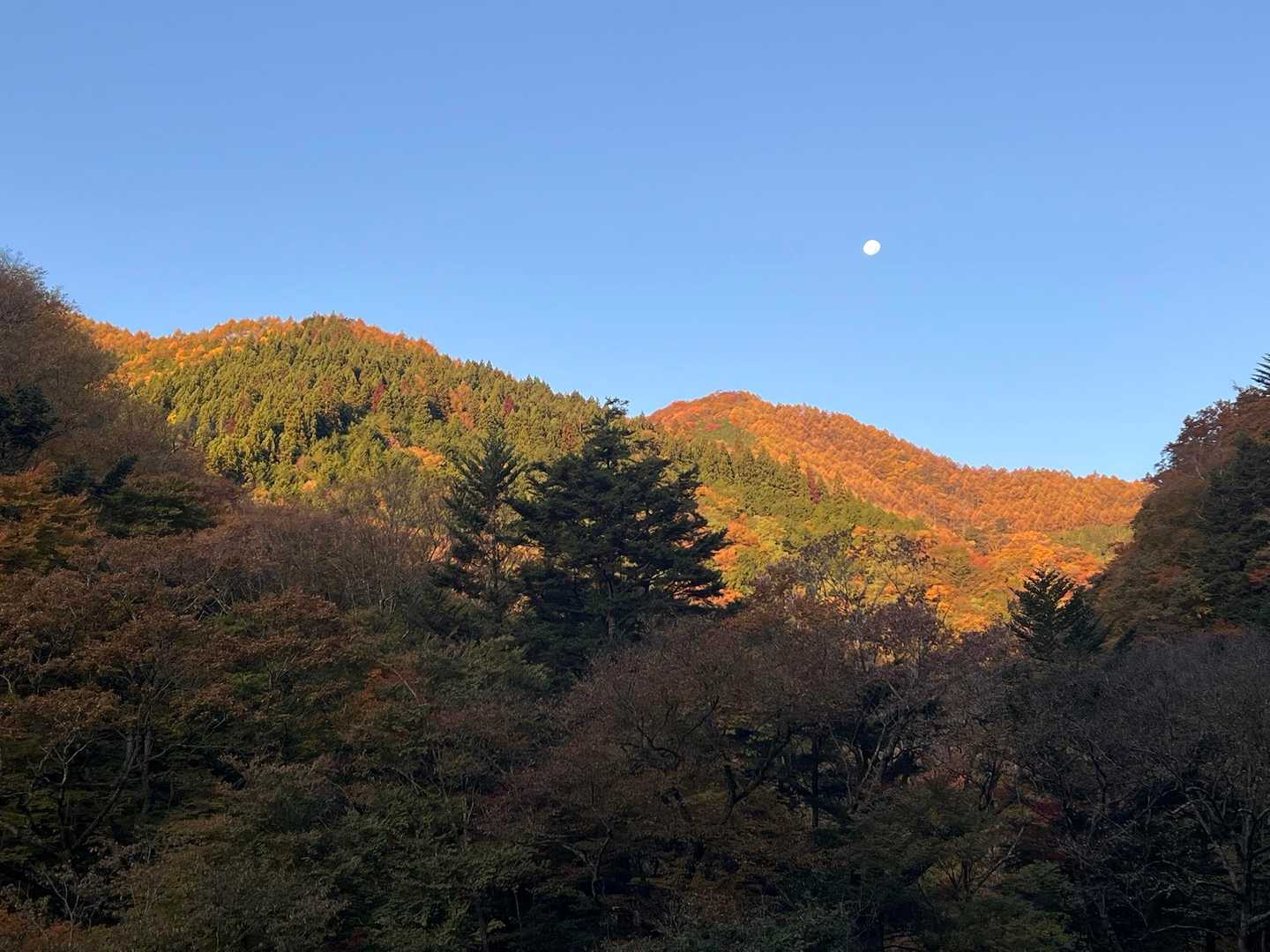 モルゲン✨結構寒かった🥶