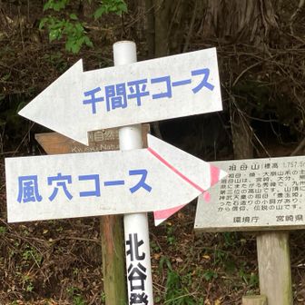 下山してきました

風穴コース〜千間平コースの周回

さぁ帰ろうかな🚗³₃
ツールド九州🚲とかで交通規制掛かって、大幅に時間ロス