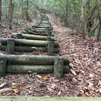 先の見えない階段
こんな道は好きではないですww

この階段が結構な勾配で長々と…少し心が折れそうでした😅

慌てないで一段一段登っていったら、そのうち着くでしょう☺️