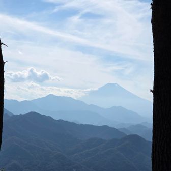 額縁FUJI