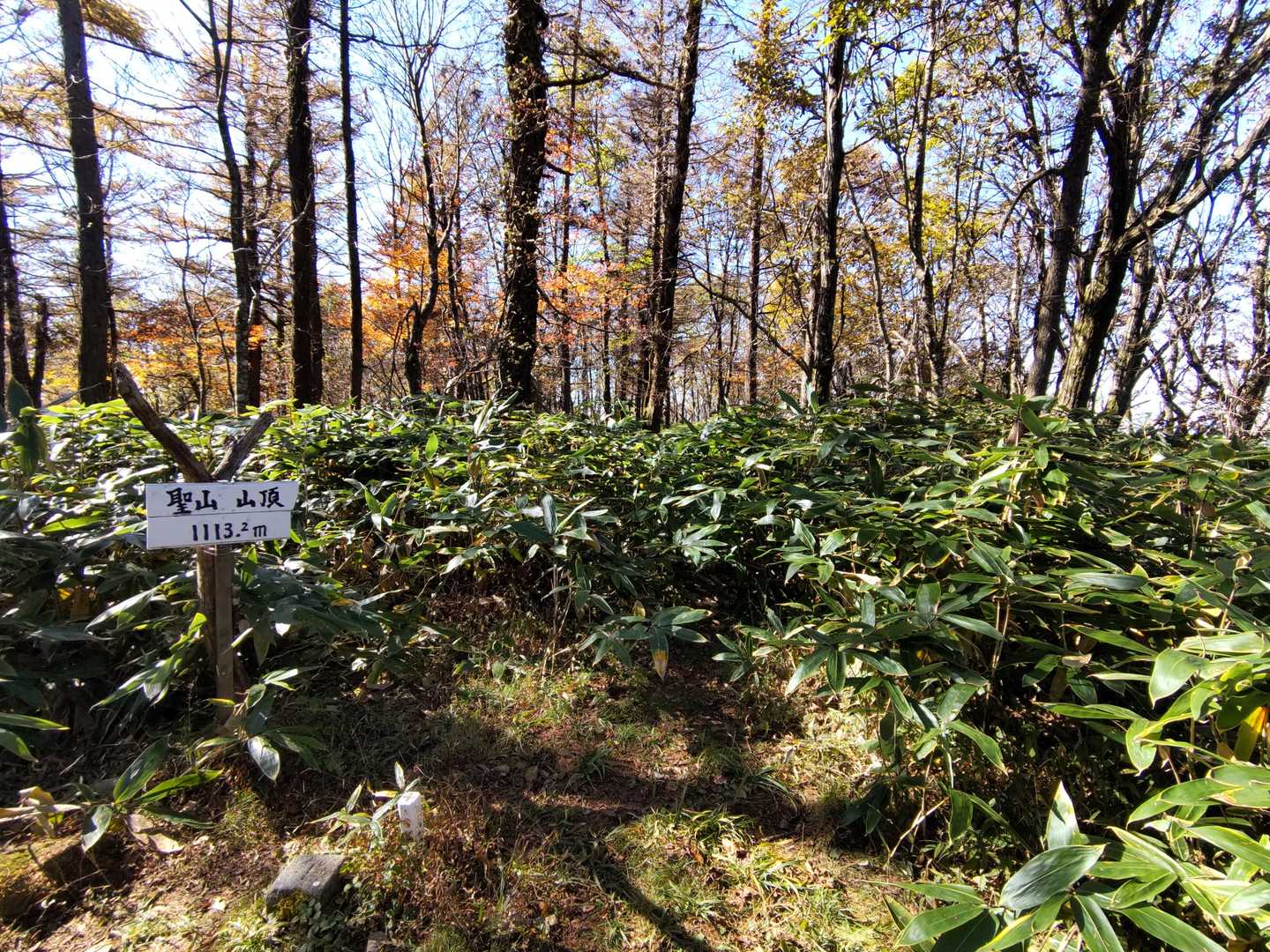 聖山山頂に到着😄
三角点▲あり