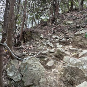 少し険しいけれどロープなしでも行けます