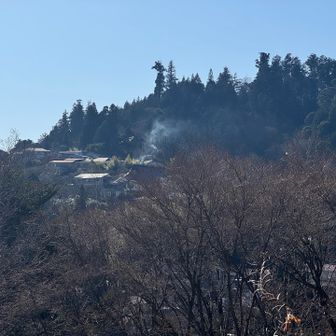 ここに約120人が暮らしているらしい