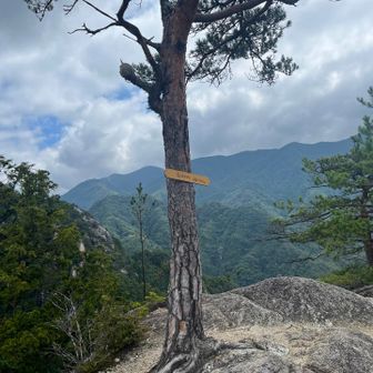 白砂山🏔️この辺り柵も鎖も無いので落ちそうになる😱