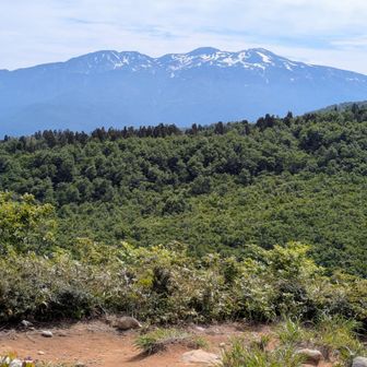 😍ココでも白山！
