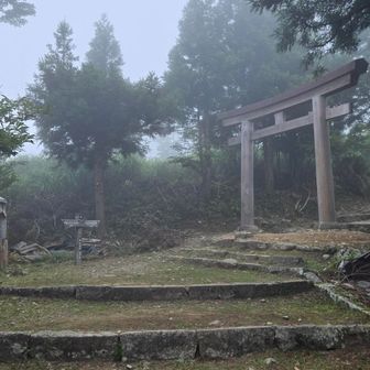 木の鳥居
