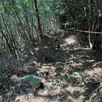 聞いてないよぉ〜