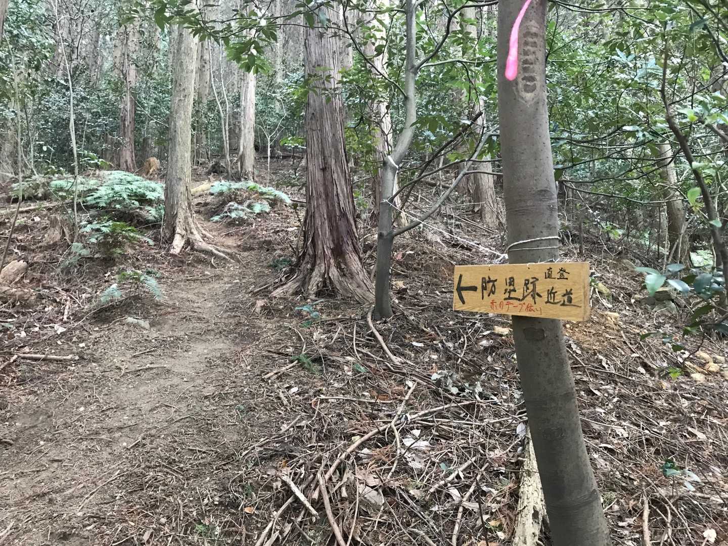 急登