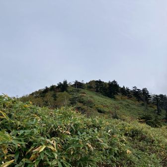 頂上もう少しだ