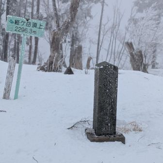 山頂。ここまでほんと苦しかった。