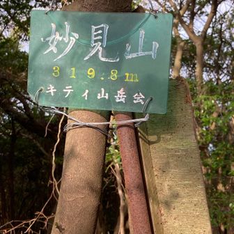 何度か⤴️⤵️繰り返して、妙見山319.8m登頂