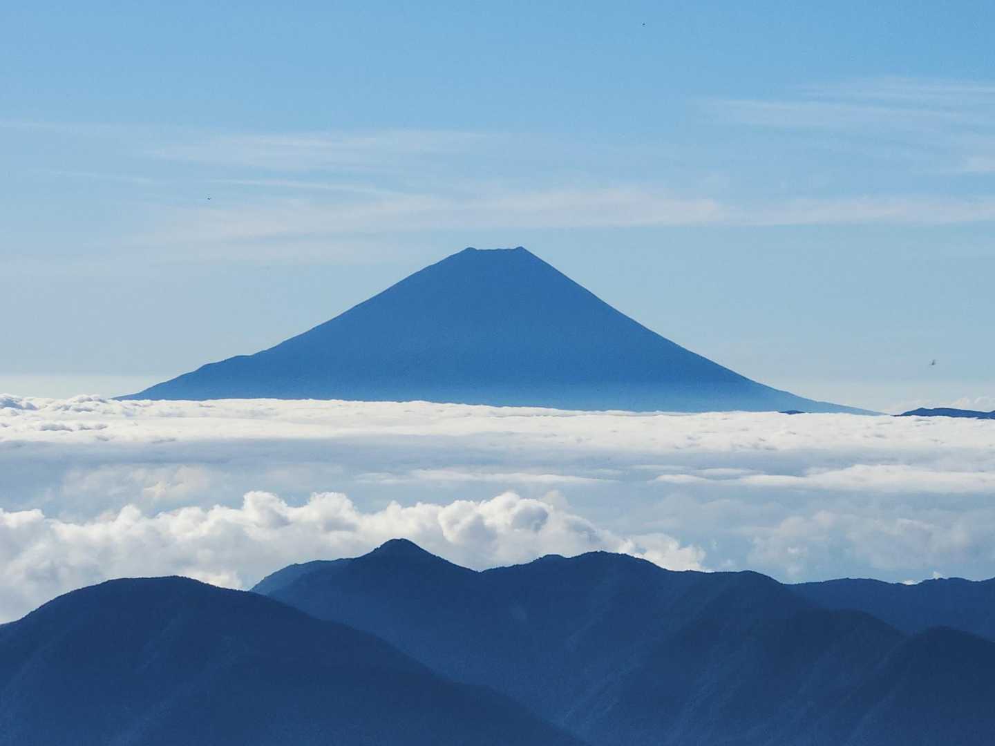 よく見えます👀