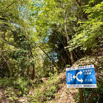 登山道はここまで😊