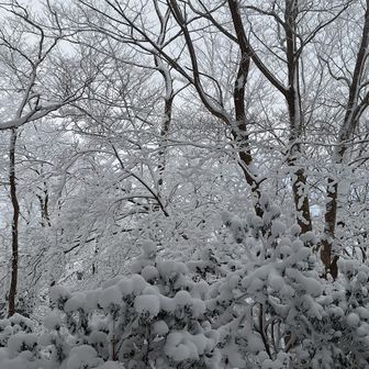それにしても天気予報では青空の時間帯ですが😅