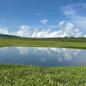 水鏡になってる。