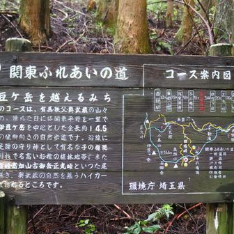 改めてコース確認。