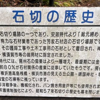 最も端的に石切に関して記述してくれてたので掲示。以下はテキストの書き出し結果。
******

ここは石切り場跡の一つであり、安政時代より「総元締め」と呼ばれ、もっとも有力な石材業者であった芳家石材店の石切り場跡です。横浜開港にい、その護岸工事や土木工事用の石材として着目され、神奈川県庁・横浜市・横須賀市等の用材に指定されました。
明治時代には、房州石の需要はより一層増え、最盛期には金谷地区の絵人口の約80%が材関係の産業に従事していたそうです。房州石は、現在も横浜港高島桟橋・横浜市港の見える丘公園・靖国神社・早稲田大学大隈講堂の石掃等に残っています。
太平洋戦争後、機械化され、パン焼き用戸等にも使用されましたが、自然保護規制強化により、昭和57年石切りの歴史も幕を閉じました。
