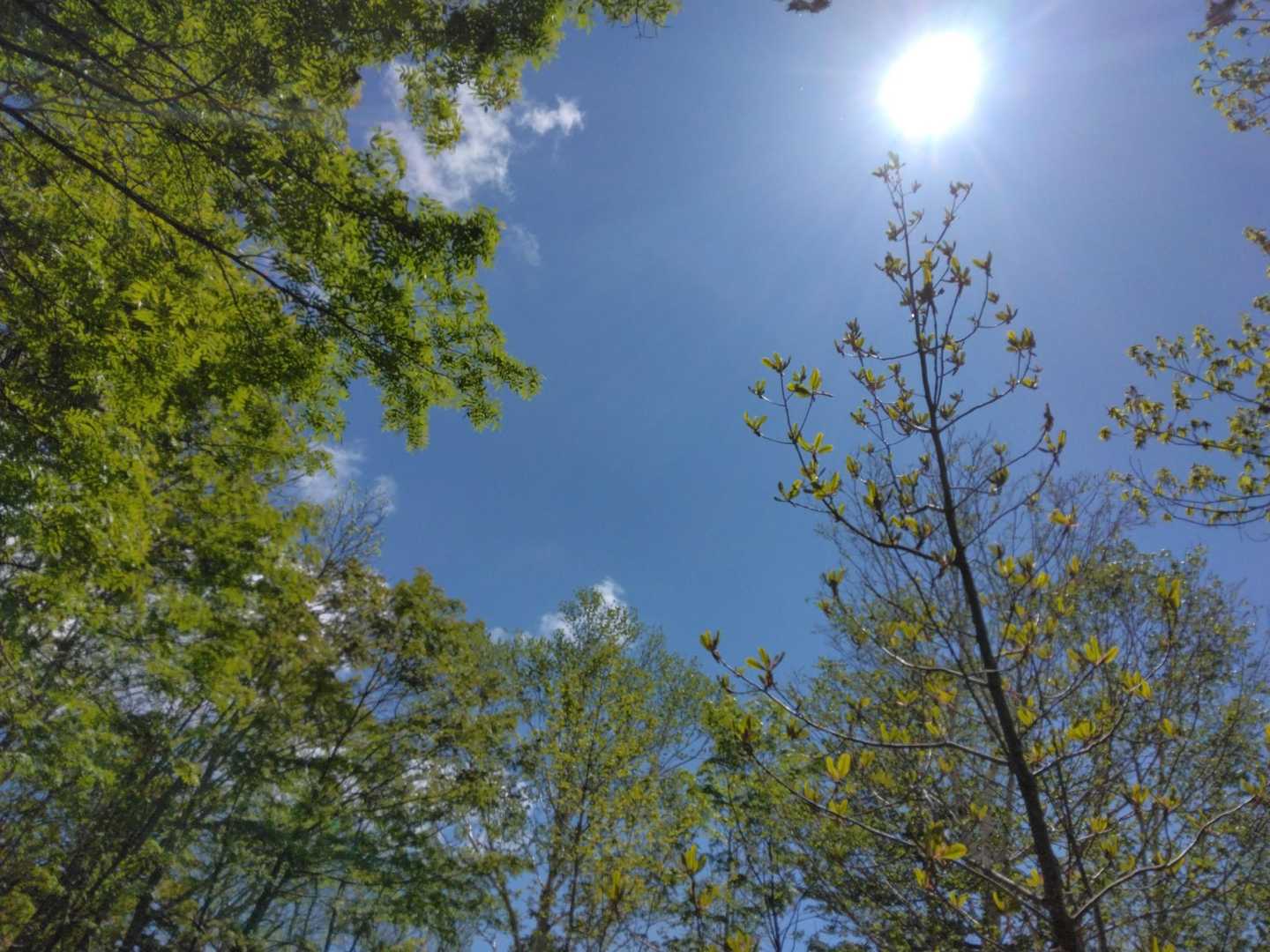 太陽ありがとう🌞