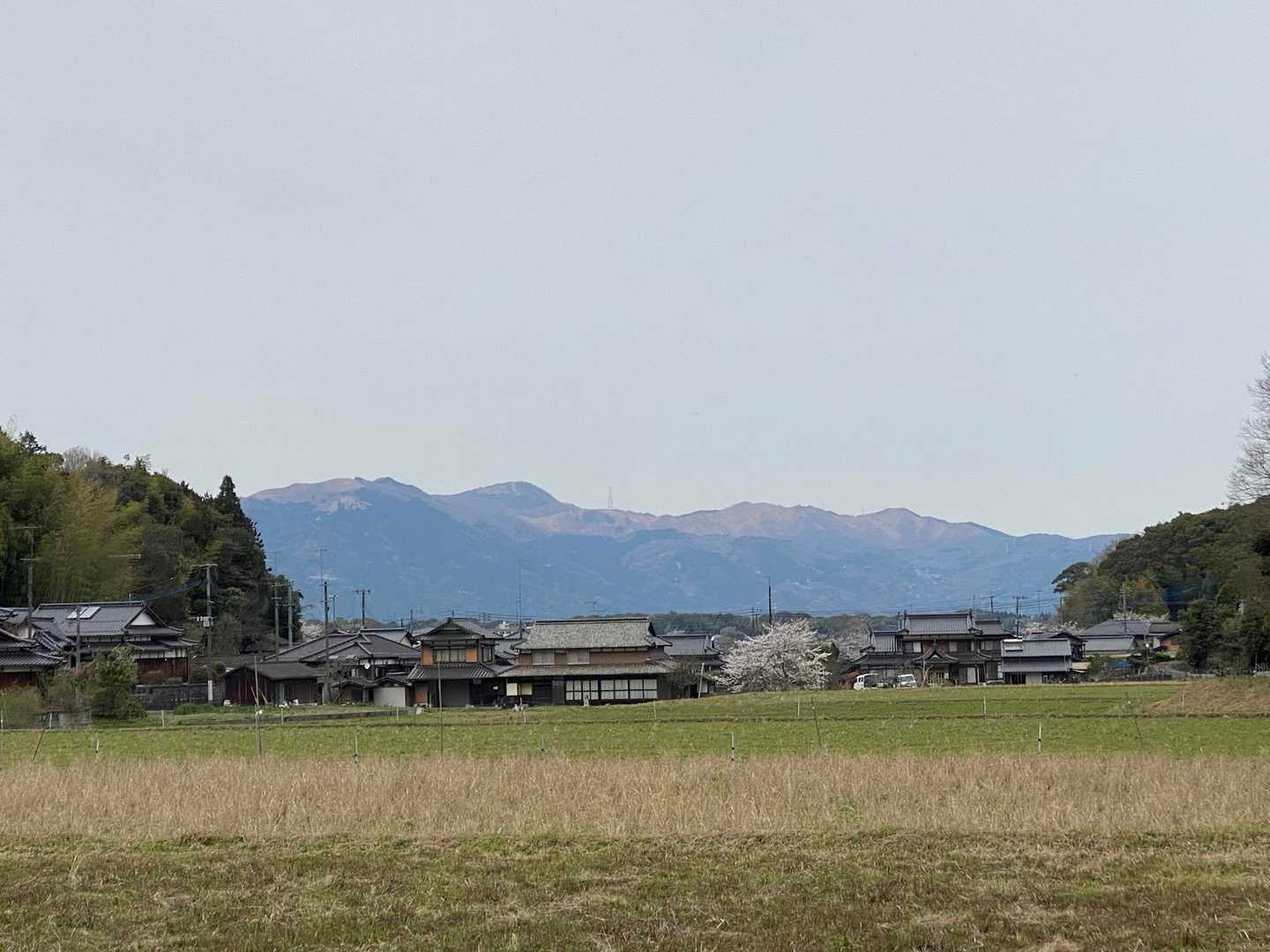 ここから見る平尾台が好き❤️