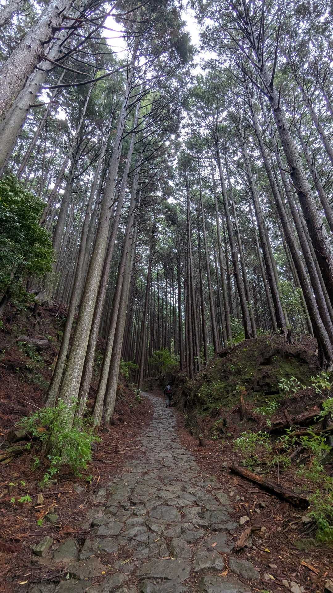 石畳は滑りやすいので気を付けないとね