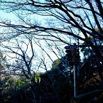 第三の見晴台。ここでお昼です。ペンチが３つありました。火気も大丈夫そう