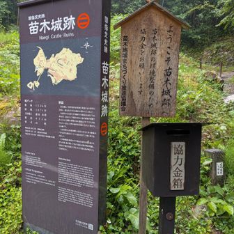 最後は苗木城跡（城山）にお邪魔です💕😍
協力金👛入れさせて頂きました🙂