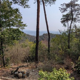 山頂からの景色