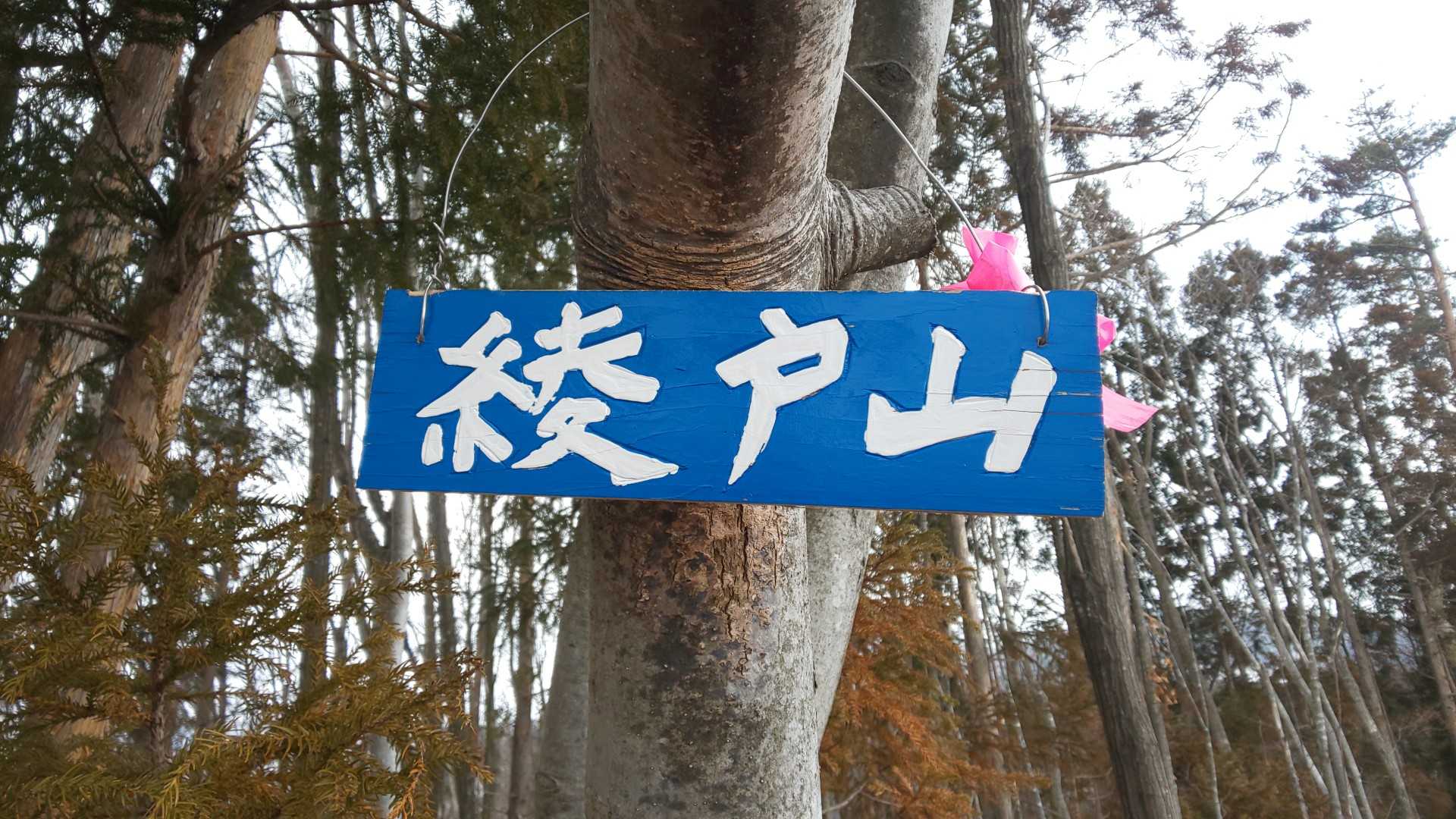 着いた🍀
