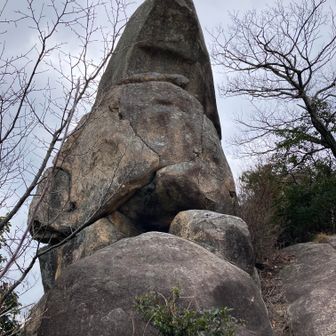 タマちゃん岩？
タマちゃんは、2002年に多摩川に現れたオスのアゴヒゲアザラシの愛称である