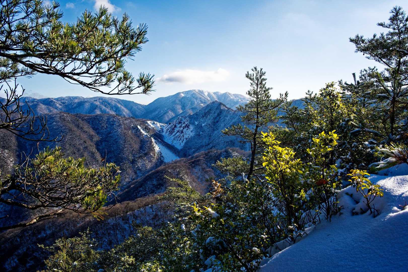 竜王山登山口-竜王山-綿向山 往復コースの写真