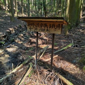 古戦場⚔️ 不気味な感じだったので行きませーん🙂‍↔️