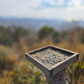 下山しますか…👣