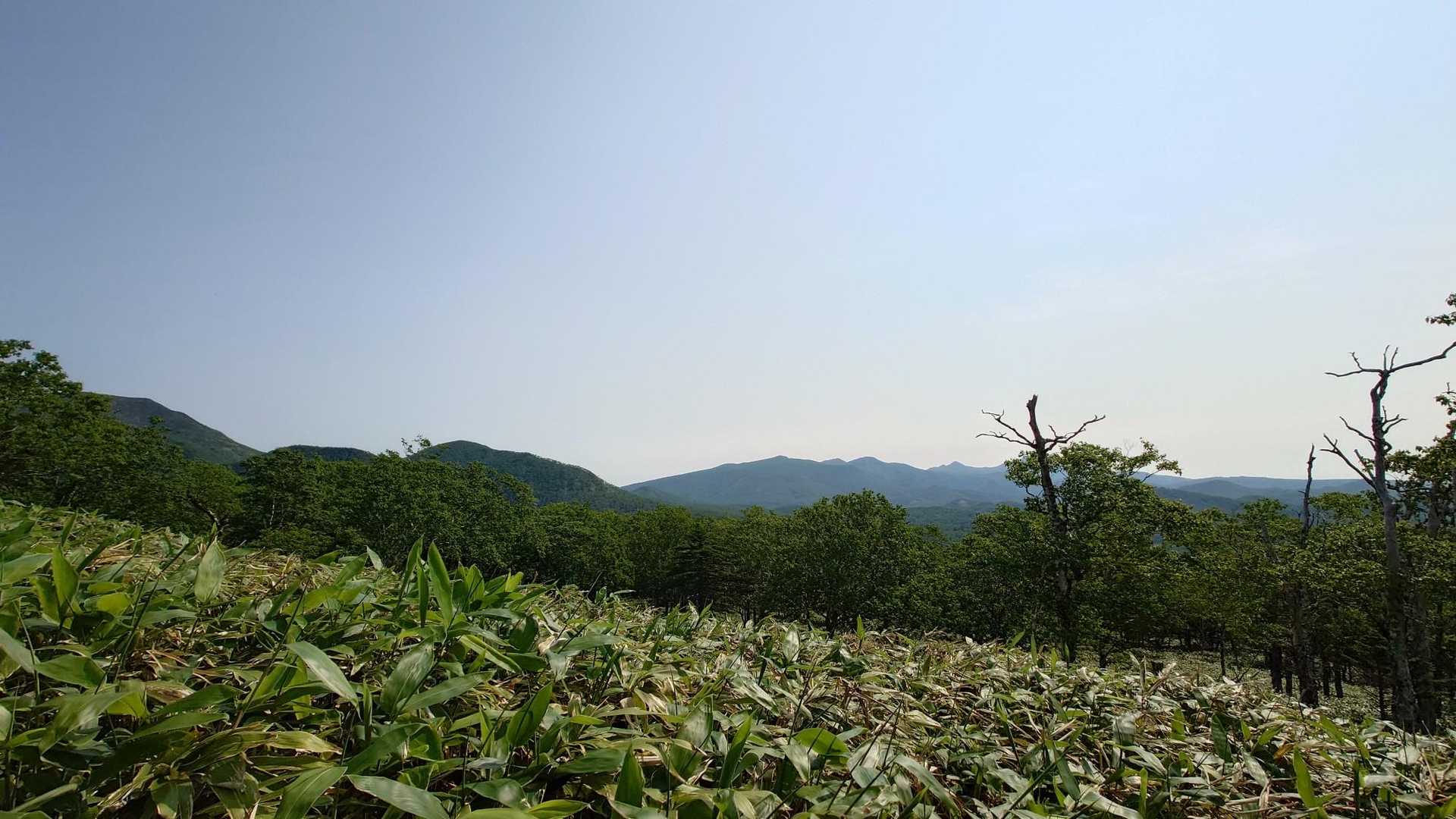 武佐岳方面