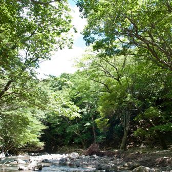 とても気持ちいい場所です　　　　Photo  あい
