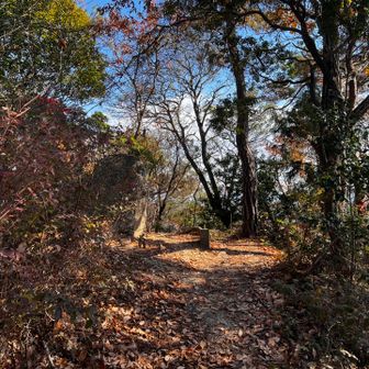 48　松ノ浜山　265m
六十名山ピークではない。