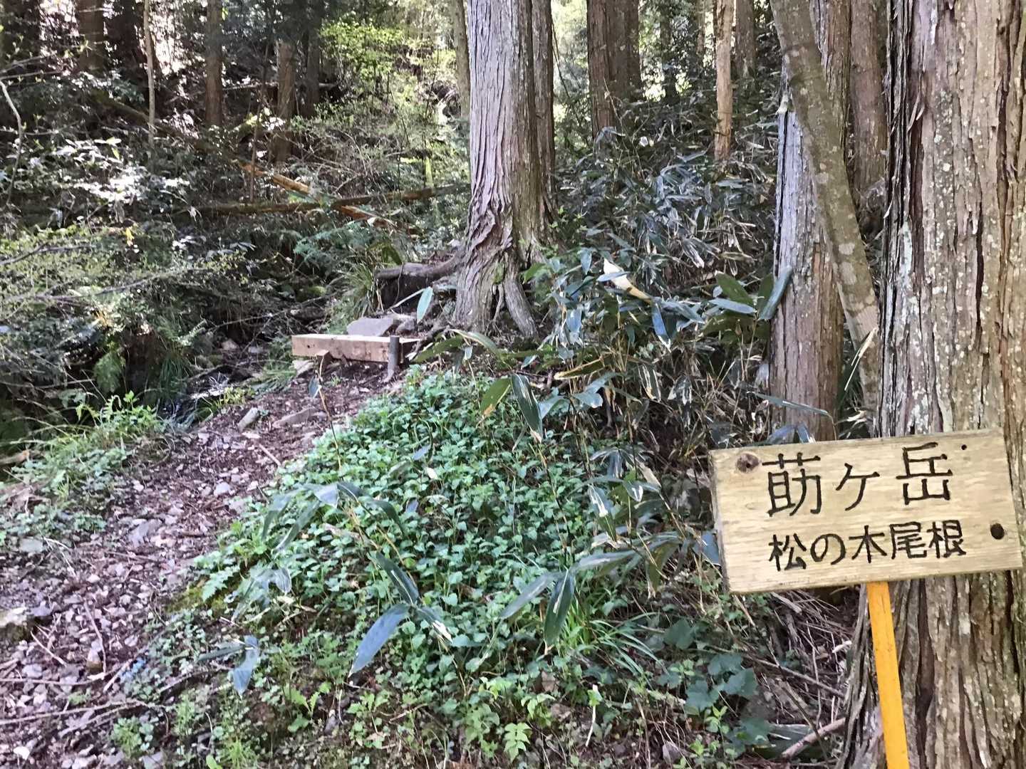 莇ヶ岳 周回コースの写真