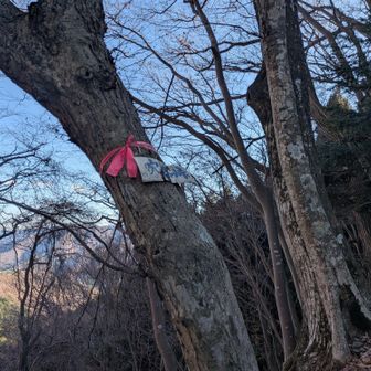 うん、看板が分かり難い