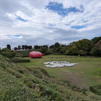 自問‼️
俺は今、なにをしている