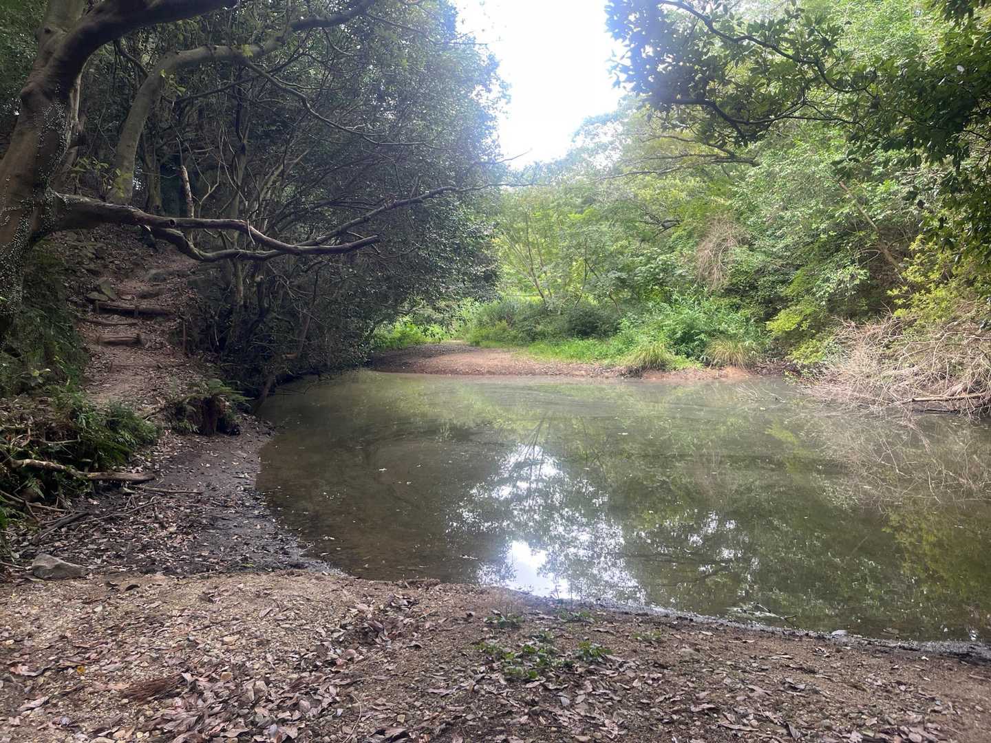 左の巻き道を渡りました。
なんか汚い…
ここはザブンするとこやないよね？