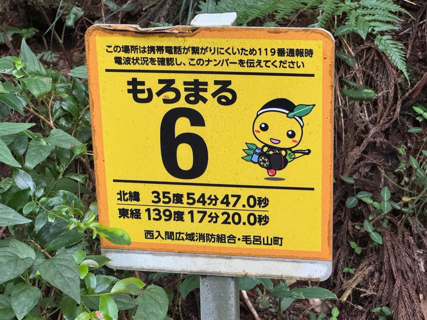 毛呂山町は もろまる君(柚子の化身)🍊
お隣、越生町は うめりんちゃん(梅の化身)🌸