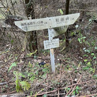 ここから登山道〜