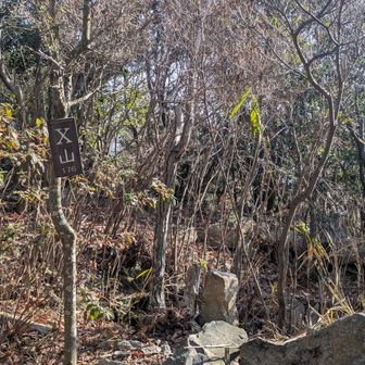 こんな感じの山頂でした。