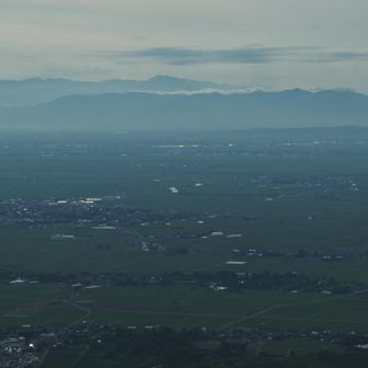 水田の緑色が目立つようになっていました