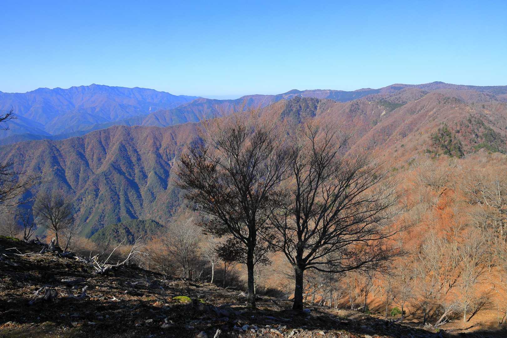又剣山へ戻りました
あとは降りるだけ