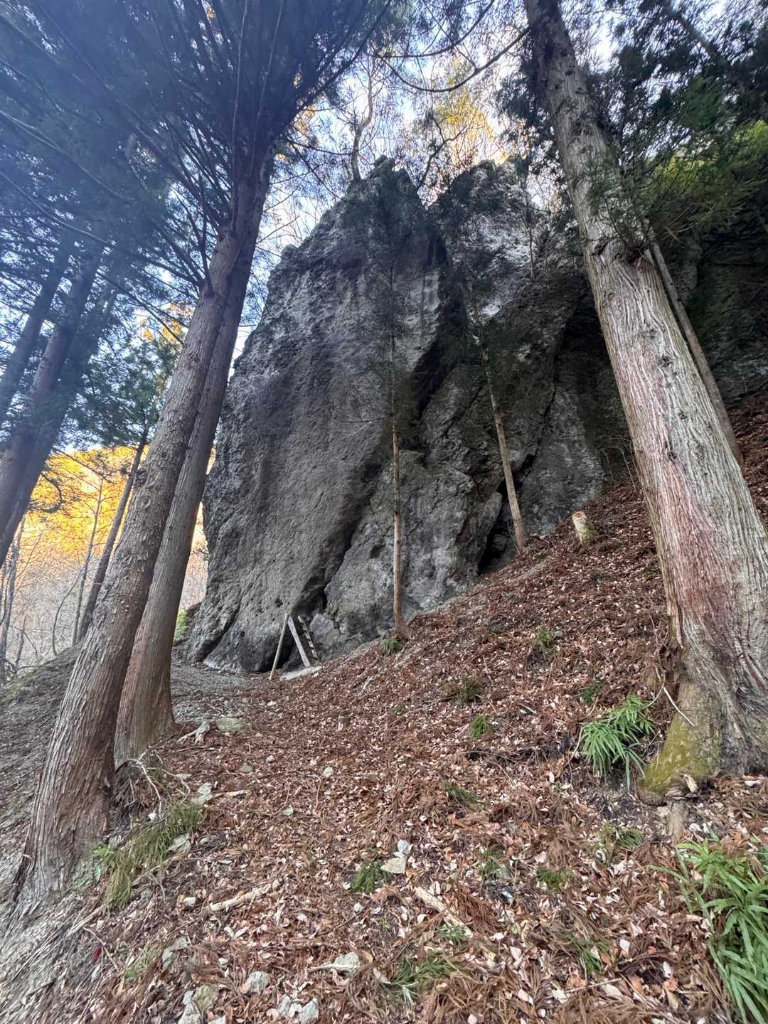 すぐに大きい岩が🪨
南牧村の山々は岩壁のお山が多いです