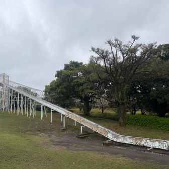 こんな大きい滑り台が無料だなんて、太っ腹