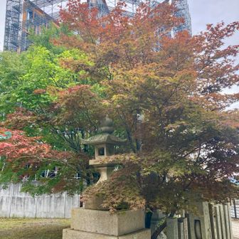 少し秋の気配🍂