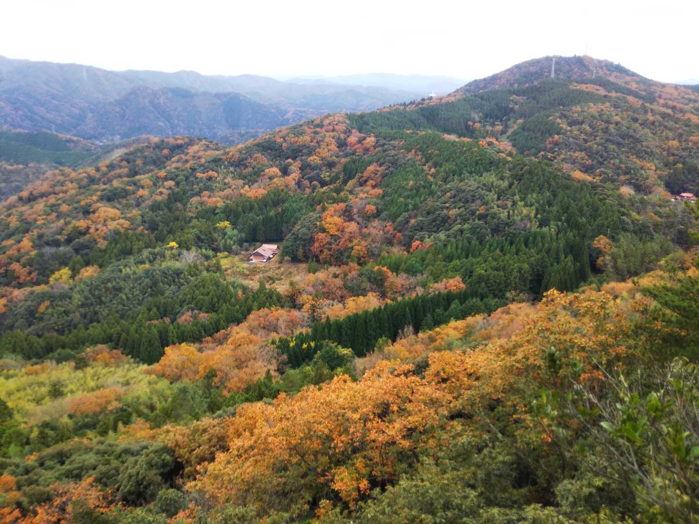 展望岩からの眺め
比礼振山が見えます。