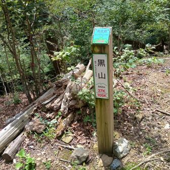 黒山とうちゃこ！
多磨百山なので2回目